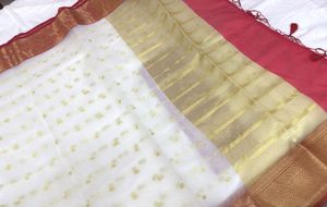 Elegant White Saree