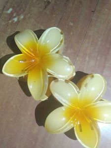 Flower Hair Claw Clips