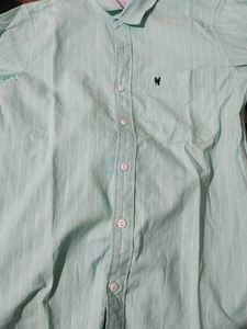 Striped Button-Down Shirt