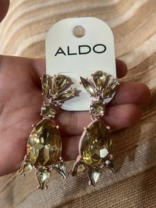ALDO classy versatile Earrings
