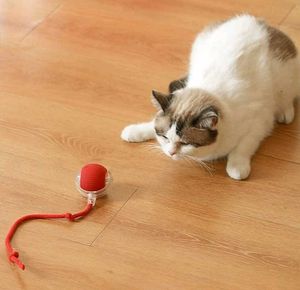 Interactive Pet Toy