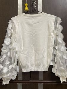 Ruffle Net Sleeves Top