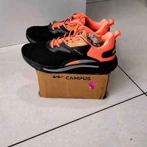 Campus Sports Shoes