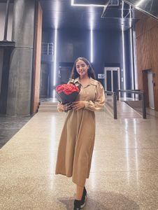 Brown Dress New
