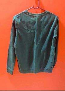 Embroidered Green Sweatshirt