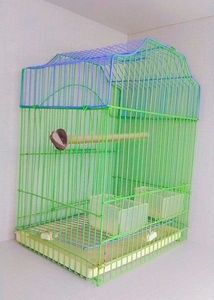 Birds Cage