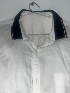 US Polo Large Size Shirt