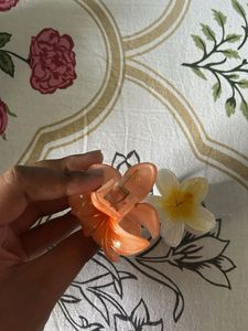 Claw Clip