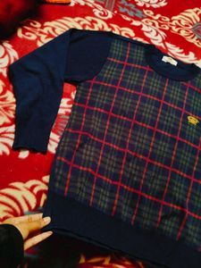 Men Formal Type Sweater