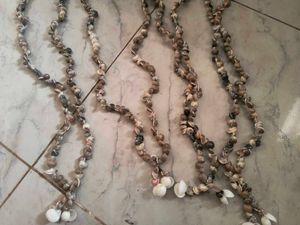 Seashell Necklace