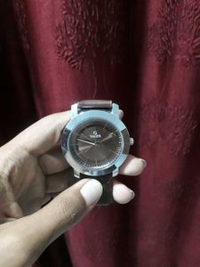 Tiger Watch