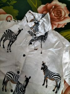 Zebra Print Satin Shirt
