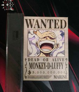One Piece Wanted Posters (3)