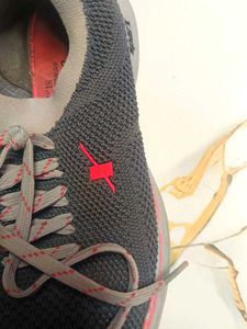 Sparx Casual Shoes