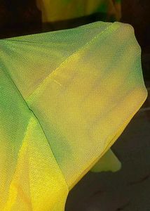 Rare Fluorescent shades mesh Ruffle Flare Pants