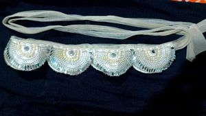 Hip Belt