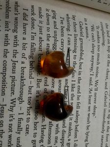 Amber Resin Earrings