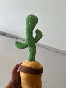 Dancing Cactus