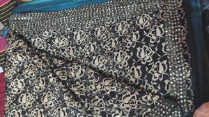 beautiful women net saree