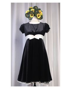 🎉🎉SALE🎉🎉 Korean Velvet Dress