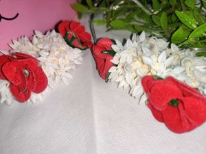 Set Of 2 Piece Gajrey