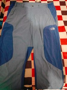 paint type trouser branded