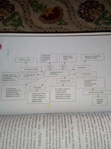 Biology Support Material For Class 12th
