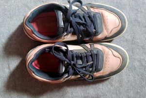 Redtape Shoes