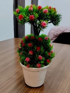 🌲 Tree