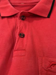 Combo Set Of 2 Bluefisher Tshirts On Sale