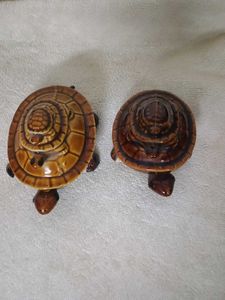 Vastu Tortoise Pair