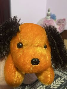 Toy Dog For Sale