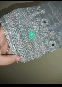 New Organza Kurta Set