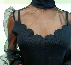 Black Sheer sexy Top