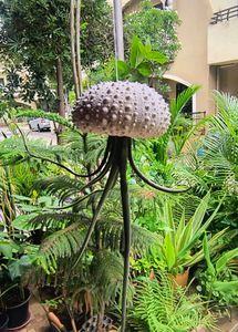 Urchin Shells - Rare