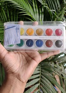 Camel Watercolours Cakes - 12 Colours