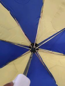 Yellow And Blue Umbrella