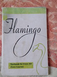 Vistas And Flamingo Class 12