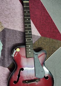 Guitar With Cover