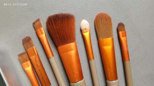 Makeup Brush