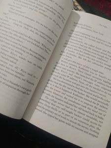 Novel