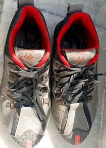 Woodland Shoes Copy 👞(men)