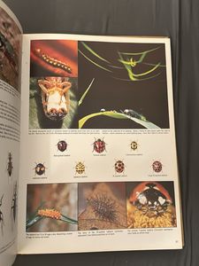 Children&#39;s Knowledge Books