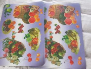 Unused Dinning Table Mat