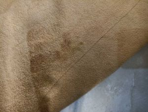 Cozy Brown Hooded Coat