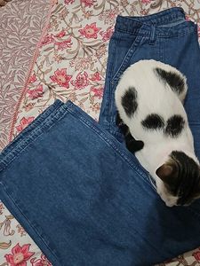 Wide Leg Denim Cargo Pants