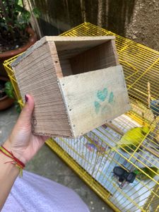 Brand New Wooden Bird House