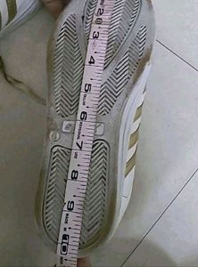 Brand Sparx Canvas Shoes