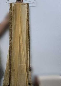 Elegant Gold Net Dupatta