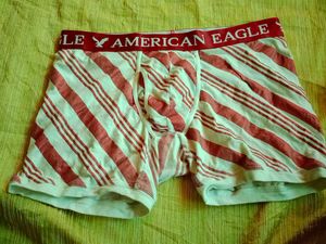 American Eagle Striped Boxer Briefs